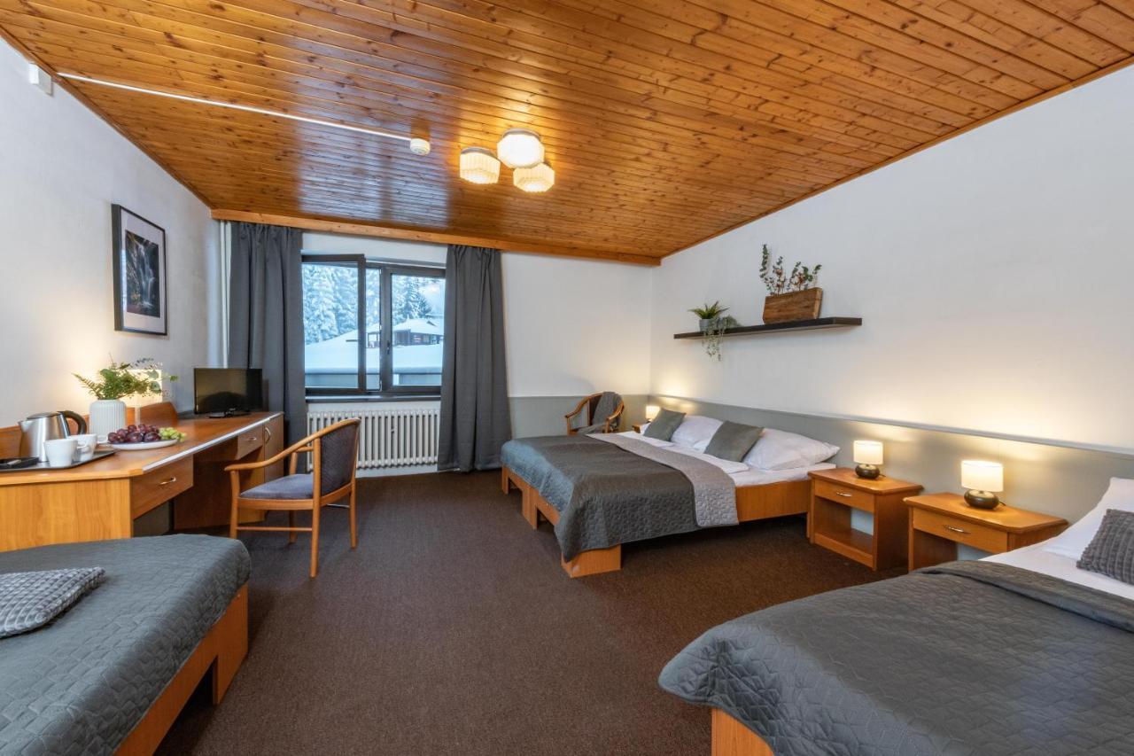 Wellness Sedy Vlk Hotel Harrachov