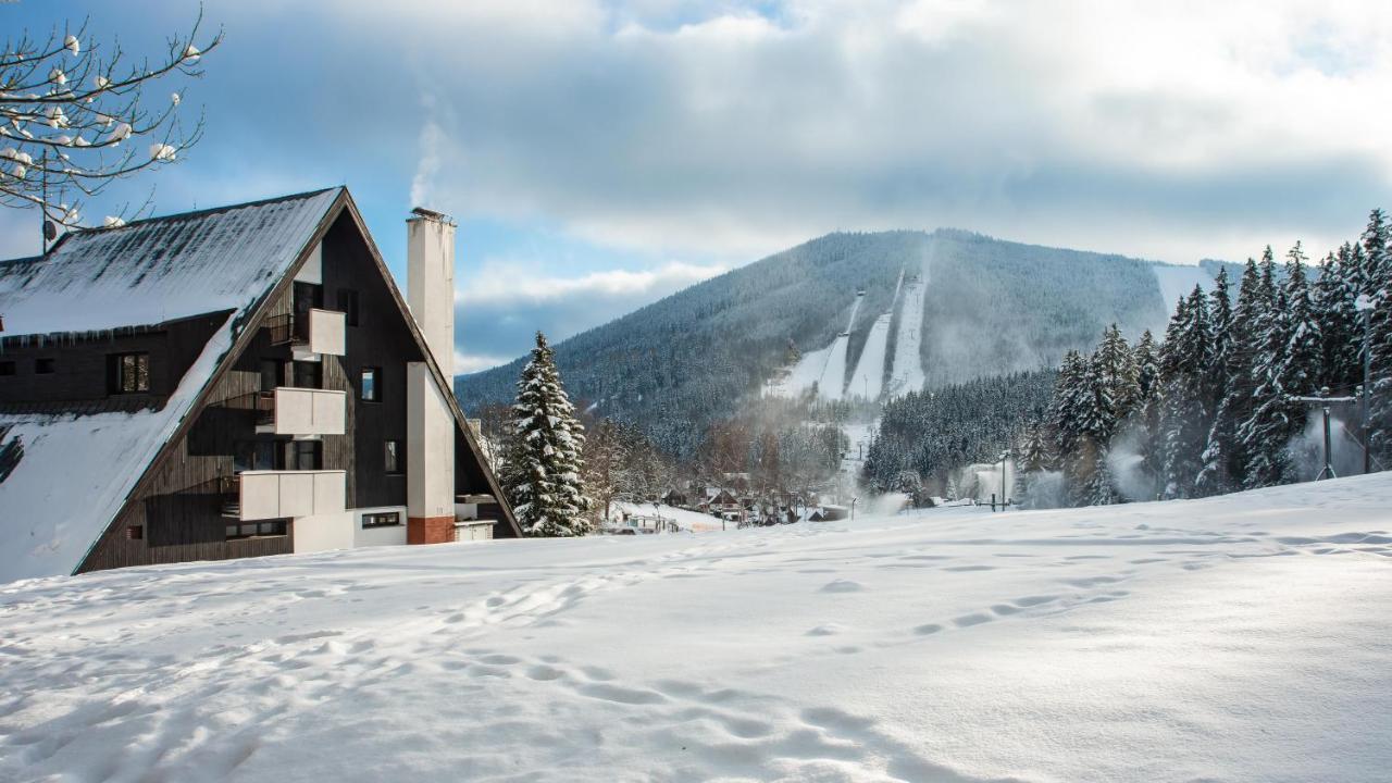 Wellness Sedy Vlk 3* Harrachov