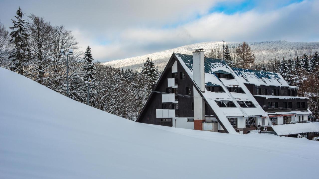 Wellness Sedy Vlk Harrachov