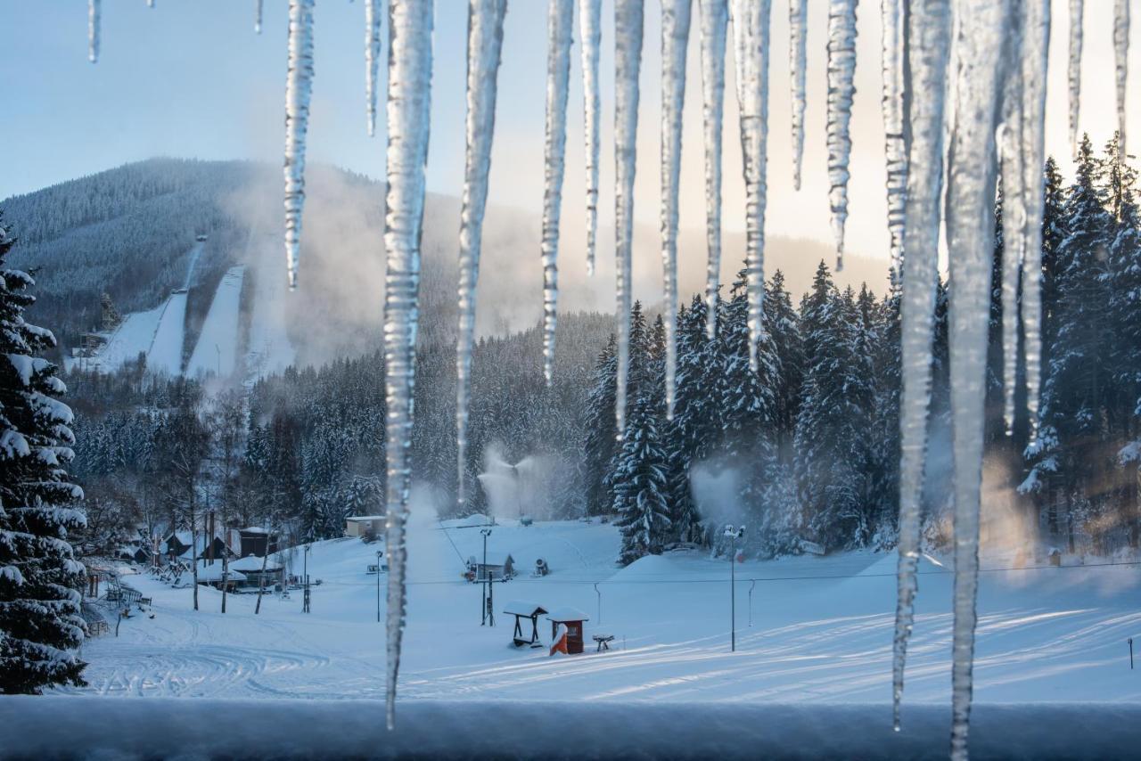 Wellness Sedy Vlk Harrachov