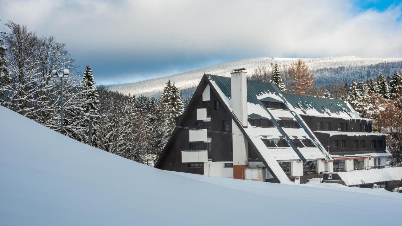 Wellness Sedy Vlk 3* Harrachov