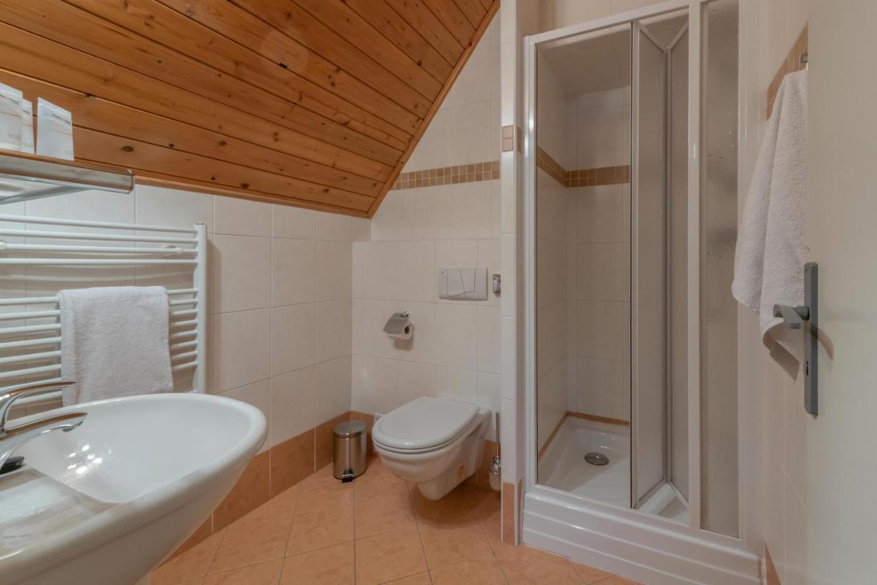 Wellness Sedy Vlk Hotel Harrachov